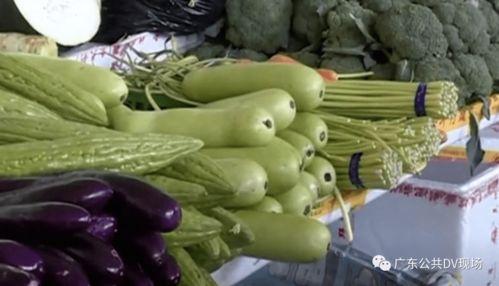 郑州吃瓜中毒,意外事件引发食品安全关注